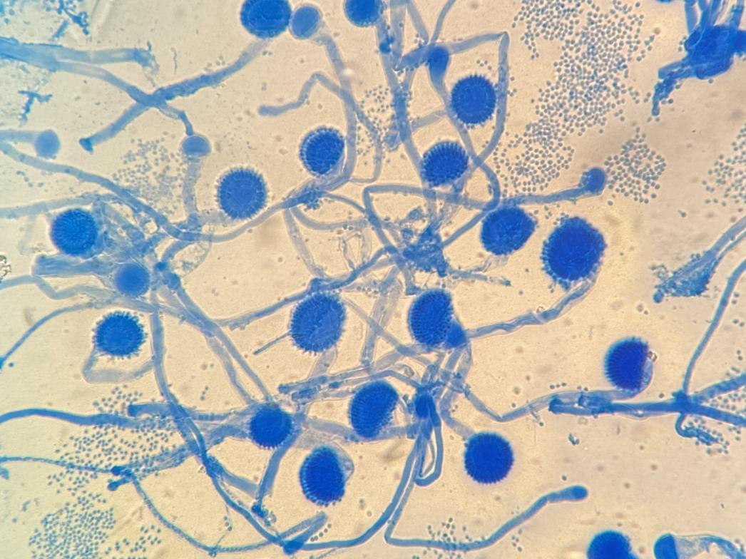 image-20240919171530-3